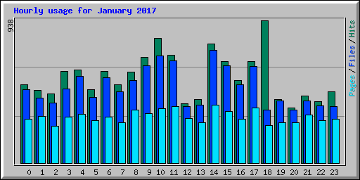 Hourly usage for January 2017