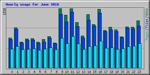 Hourly usage for June 2016